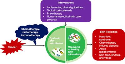 Skin Microbiome and Treatment-Related Skin Toxicities in Patients With Cancer: A Mini-Review